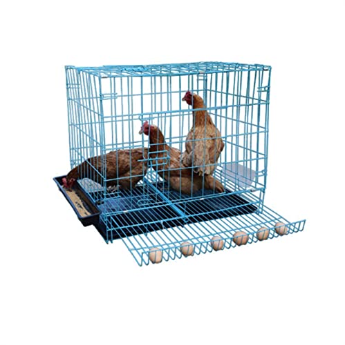 GDSCSKKS Drahtkäfig für Huhn, Ente und Gänse, mit Futterspender, Matte, Hocker-Ablagetablett und Eiern automatisch ausgeworfen (Farbe: Blau, Größe: 60 x 42 x 53 cm) von GDSCSKKS