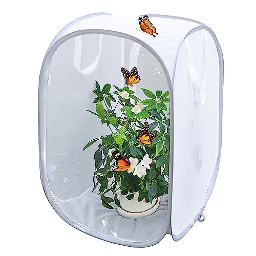 Pop-Up-Insekten- und Schmetterlings-Käfig, Terrarium, transparentes Netzgehege von GDanes