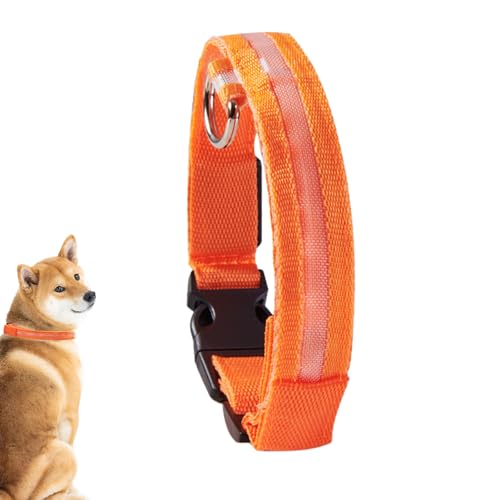 GEBBEM LED-Halsband - Blinkendes, leuchtendes LED-Halsband für Hunde - Wiederaufladbares, blinkendes LED-Sicherheitshalsband für mittelgroße und kleine Haustiere und Hunde von GEBBEM