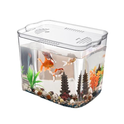 Goldfischbecken, Aquarium für Anfänger,Aquarium Kleines transparentes Würfelbecken - Kleine Fischschale für temporären Raum, Schildkrötenbecken, Tischaquarium für Waterwee, kleine Fische, Garnelen, Kr von GEBBEM