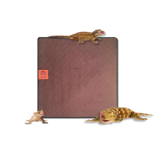 GECKOPIA Premium Reptilieneinlage | Reptilienteppich | Reptilieneinstreu | Reptiliensubstrat | Leopard Gecko Teppich | Bartagamenteppich | Schildkrötensubstrat (45,7 x 45,7 cm) von GECKOPIA