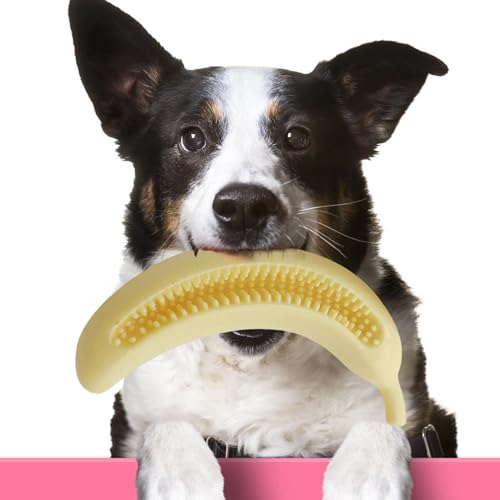 Beißspielzeug für Welpen, Welpenspielzeug zum Zahnen – Kauspielzeug für Hunde, niedliches Hunde-Kauspielzeug, Beißring für Welpen, interaktives Hundespielzeug, Hundespielzeug, Spielzeug für Hunde, Beißspielzeug für Welpen, Welpenspielzeug zum Zahnen – Kauspielzeug für Hunde, niedliches Hunde-Kauspielzeug, Beißring für Welpen, interaktives Hundespielzeug, Hundespielzeug, Spielzeug für Hunde, von GENERIC