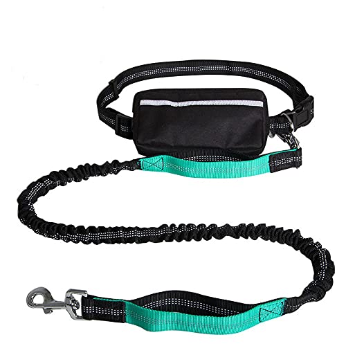 VariousHK Hunde Joggingleine Hundeleine Elastische Bungee Reflektierende Laufleine,Doppelgriff Joggingleine mit Bauchgurt für mittelgroße und große Hunde für Rennen,Laufen und Wandern (Green) von GENERY