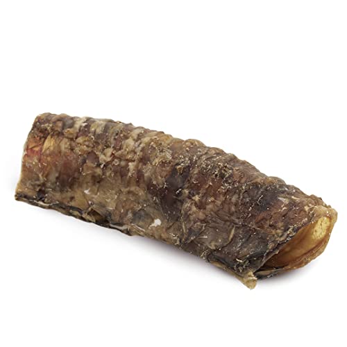 Natürlicher Hundesnack - Rindfleisch Trachea - 500 g - 10 Stück je 15 cm - 100% Rindfleisch - Getreidefrei - Gesundes Zahnfleisch - Hundeleckerli - Made in Spain - GESPETFOOD von GESPETFOOD 100% NATURAL