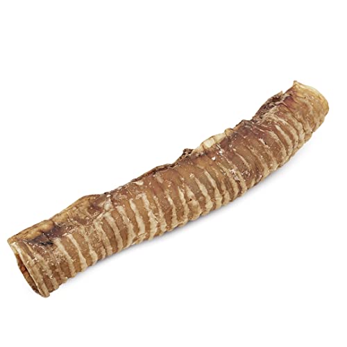 Natürlicher Hundesnack - Rindfleisch Trachea - 500 g - 5 Stück je 30 cm - 100% Rindfleisch - Getreidefrei - Gesundes Zahnfleisch - Hundeleckerli - Made in Spain - GESPETFOOD von GESPETFOOD 100% NATURAL