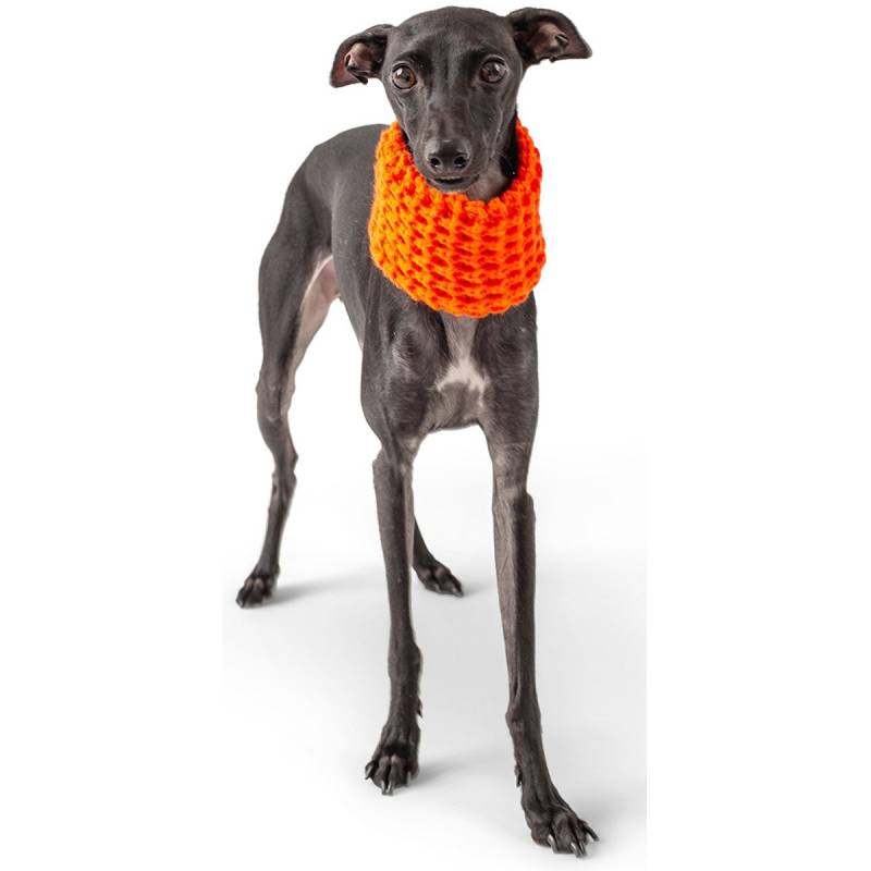 GF Pet Scout Schlauchschal orange S von GF PET