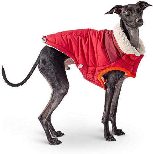 GF Pet 79g69820 SCOUT Jacke, XS, Rot, 310 g von GF Pet