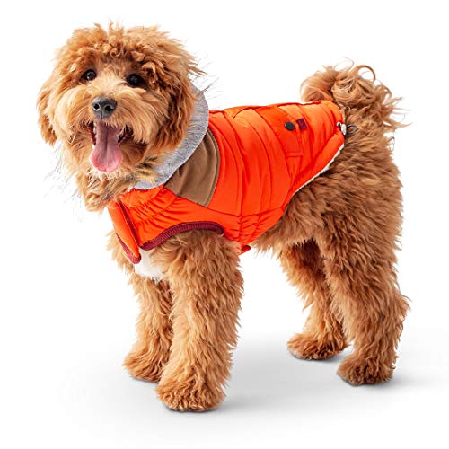 GF Pet LODGE Parka, 2XS Orange von GF Pet