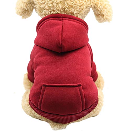 GFFGA Haustier Hund Hoodie Mantel Weiches Fleece Warme Welpen Kleidung Hund Sweatshirt Winter Hund Kleidung Für Kleine Hunde Zoohandlung XS-2XL-rot, XL von GFFGA