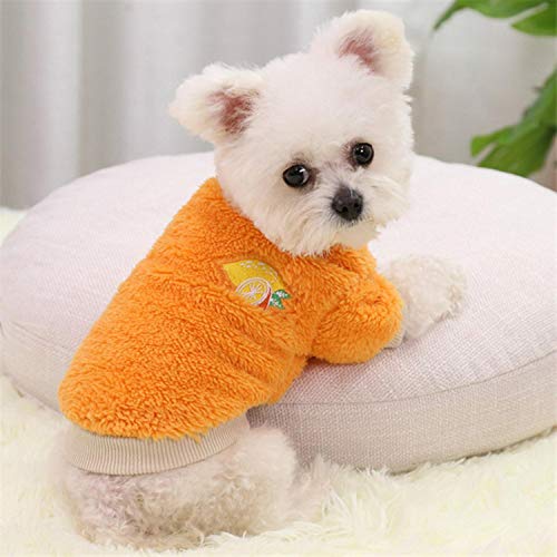 GFFGA Haustierprodukte Winterkleidung für Hund Yorkshire Teacup Puppy Clothes Chihuahua Sweater für Katze XXXS Kleine Hundekleidung für Sphinxes-Yellow, XL von GFFGA