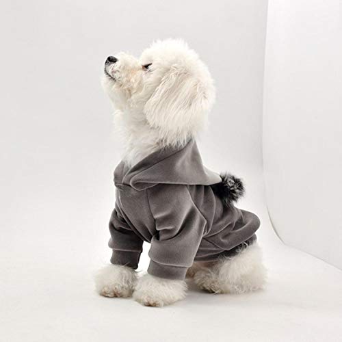 GFFGA Hund Winterkleidung Hund Hoodies Kapuzenpullover Haustier Outfit Kleidung Fighting Teddy Bichon Hundekleidung für kleine Hunde-Grey, S. von GFFGA