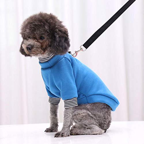 GFFGA Mode Hund Hoodies Haustier Kleidung für Katzen Kleidung Hund Pullover Haustier Overalls für Hunde Mantel Jacken Haustiere Katzen Reflective PetClothing-Blue, L. von GFFGA