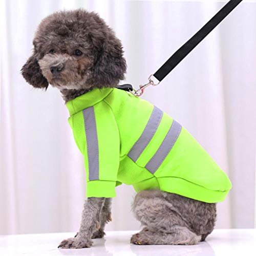 GFFGA Mode Hund Hoodies Haustier Kleidung für Katzen Kleidung Hund Pullover Haustier Overalls für Hunde Mantel Jacken Haustiere Katzen Reflective PetClothing-Green, S. von GFFGA