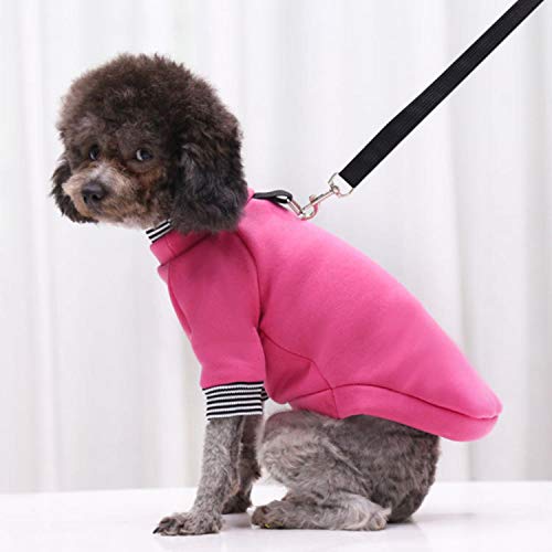 GFFGA Mode Hund Hoodies Haustier Kleidung für Katzen Kleidung Hund Pullover Haustier Overalls für Hunde Mantel Jacken Haustiere Katzen Reflective PetClothing-Rose rot, M. von GFFGA