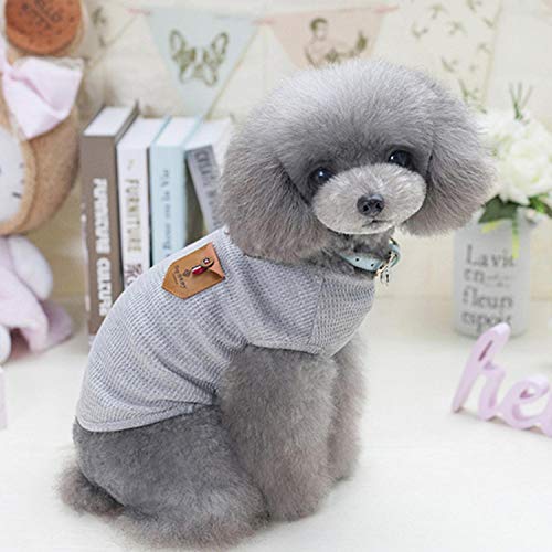 GFFGA Mode Hundekleidung Winter Haustiere Hunde Kleidung für kleine mittlere Hunde Mantel Jacke Chihuahua Haustier Kleidung für kleine mittlere Hunde Mops-Grau, M. von GFFGA