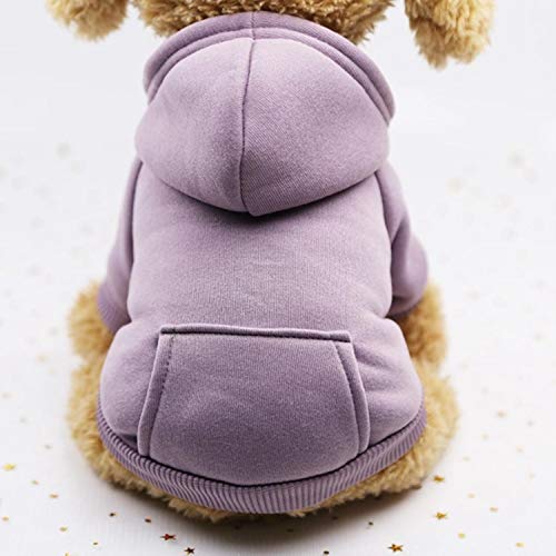 GFFGA Pet Dogs Kleidung Winter Dog Hoodies Atmungsaktiver Pet Coat für Welpen Cat Coral Fleece Dog Sweatshirt Comfort Dog Supplies-Purple, M. von GFFGA