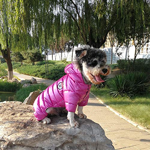 GFFGA Winter Haustier Hund Kleidung Super Warm Jacke Dicker Baumwollmantel Wasserdicht Kleine Hunde Haustiere Kleidung Für Französische Bulldogge Welpen-Rosa, L (14) von GFFGA