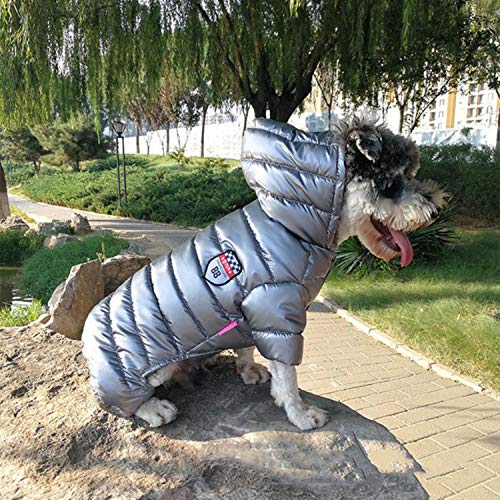 GFFGA Winter Haustier Hund Kleidung Super Warm Jacke Dicker Baumwollmantel Wasserdicht Kleine Hunde Haustiere Kleidung Für Französische Bulldogge Welpengrau, L (14) von GFFGA