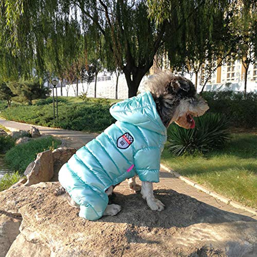 GFFGA Winter Haustier Hund Kleidung Super Warm Jacke Dicker Baumwollmantel Wasserdicht Kleine Hunde Haustiere Kleidung Für Französische Bulldogge Welpengrün, L (14) von GFFGA