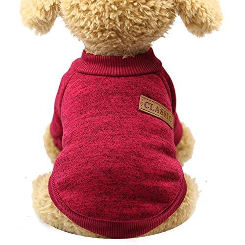 GFFGA Zweibeiniger Warmer Hündchenkampf Teddy Wolle Katzenpullover Haustierkleidung-WE, L, USA von GFFGA