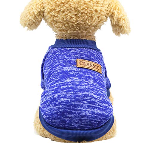 GFFGA Zweibeiniger Warmer Hündchenkampf Teddy Wollkatzenpullover Haustierkleidung-BU, XXL, China von GFFGA