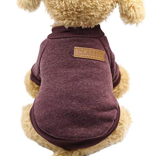 GFFGA Zweibeiniger Warmer Hündchenkampf Teddy Wollkatzenpullover Haustierkleidung-BW, L, China von GFFGA