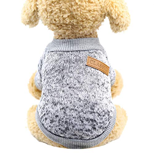 GFFGA Zweibeiniger Warmer Hündchenkampf Teddy Wollkatzenpullover Haustierkleidung-GY, M, China von GFFGA