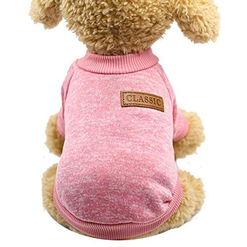 GFFGA Zweibeiniger Warmer Hündchenkampf Teddy Wollkatzenpullover Haustierkleidung-PK, L, Vereinigte Staaten von GFFGA