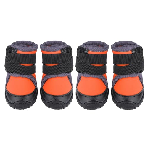 4 Stück Hundeschuhe Für Kleine Hunde, Stiefel, Atmungsaktive Hundestiefel, Pfotenschutz Für Spaziergänge Im Freien, Robuste, rutschfeste Sohle(55-Orange) von GFRGFH