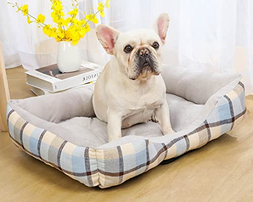 GGoty Hundebett, mittelgroße Hundekissenmatte, ultraweiches Hundesofa, Bett, Couch, gemütlich, Hundekorb, flaches Hundebett für kleine, mittelgroße und große Katzen, Hunde (XL-80 x 60 cm, Blau A) von GGoty