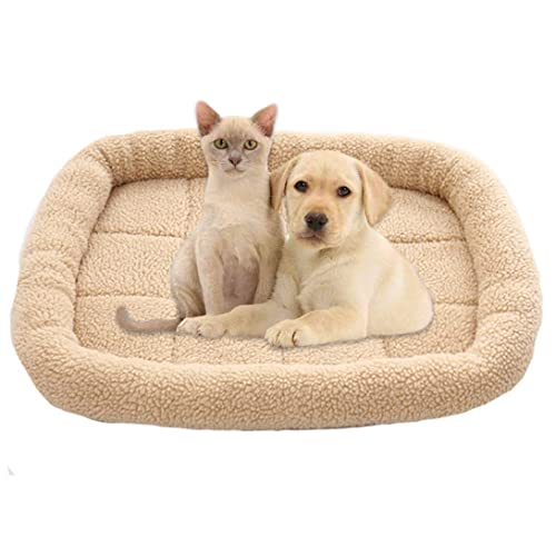 GGoty Weiche kleine Hundebett-Matratze, warmes Fleece-Hundematte, Haustierkissen, waschbar, rutschfest, Katzen-Schlafbett für Welpen, Katzen, Hund (75 x 60 cm, Beige) von GGoty