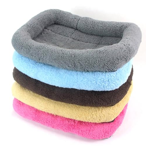 GGoty Weiches Katzenbett, mittelgroß, Fleece, Haustierkissen, Lammwolle, Hundekissen, beruhigender Katzen-Schlafkorb, rutschfestes Welpen-Kissen (L (53 x 37 cm), Beige von GGoty