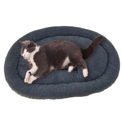 Weiches Hundebett Katzenbett Matte, 50 x 35 cm Hundebett Matratze Weiches kleines Haustierkissen Waschbares Bett Lamm-Fleece Katze Haustier für kleine Hunde Katzen (Grau) von GGoty