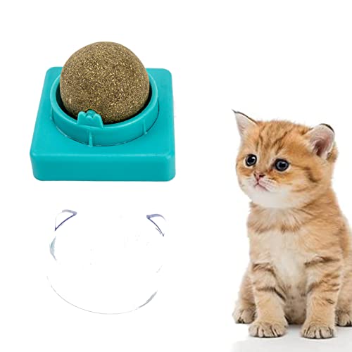 Katzenminze Bälle, Katzenminze Wandball, Drehbare Katzenminze, Essbare Catnip Balls Spielzeug, für Katze, Katzenminze Spielzeug mit Denen Katzen Zähne Knirschen, Steigern Sie den Appetit, Blau, 1PC von GHEART