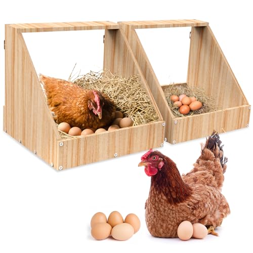 GHWMYD Hühnernistkästen zur Wandmontage, 2er-Pack Hühnerstallzubehör aus Holz für Geflügel zum Eierlegen, 35.3 x 35.3 x 34.2cm große Legenest Hühnerneste für Hühner und Enten GHWMYD Hühnernistkästen zur Wandmontage, 2er-Pack Hühnerstallzubehör aus Holz für Geflügel zum Eierlegen, 35.3 x 35.3 x 34.2cm große Legenest Hühnerneste für Hühner und Enten von GHWMYD