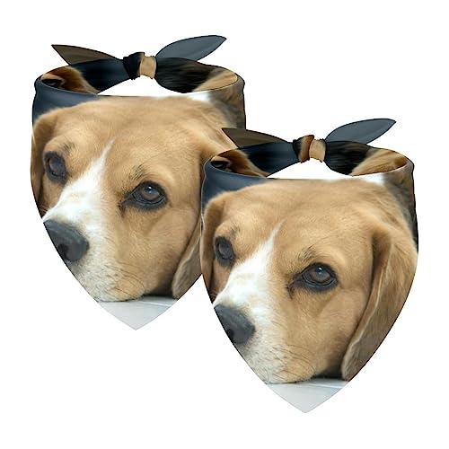 2Pcs Hunde Bandanas Hochzeit Foto Requisite Lätzchen Haustier Zubehör Haustier Schal Katzen Bandana für Hunde Welpen,Beagle Hund von GIAPB