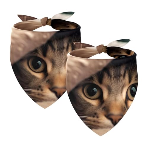 2Pcs Hunde Bandanas Hochzeit Foto Requisite Lätzchen Haustier Zubehör Haustier Schal Katzen Bandana für Hunde Welpen,Bett Süße Katze von GIAPB