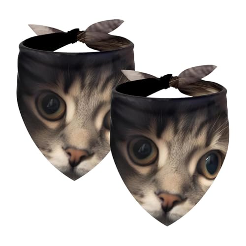 2Pcs Hunde Bandanas Hochzeit Foto Requisite Lätzchen Haustier Zubehör Haustier Schal Katzen Bandana für Hunde Welpen,Bett Süße Katze von GIAPB