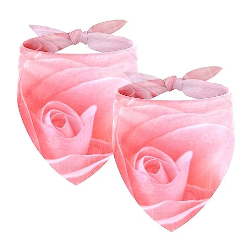 2Pcs Hunde Bandanas Hochzeit Foto Requisite Lätzchen Haustier Zubehör Haustier Schal Katzen Bandana für Hunde Welpen,Rosa Rosenhintergrund von GIAPB