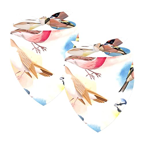 2Pcs Hunde Bandanas Hochzeit Foto Requisite Lätzchen Haustier Zubehör Haustier Schal Katzen Bandana für Hunde Welpen,Vogel Tintenillustration von GIAPB