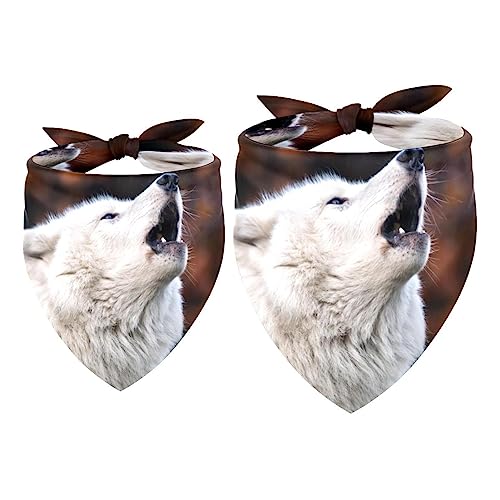 2Pcs Hundehalstücher Taschentücher Schals Lätzchen Kopftücher Schals Zubehör für Hunde Katzen Haustierliebhaber,Tierische Wolfslandschaft von GIAPB