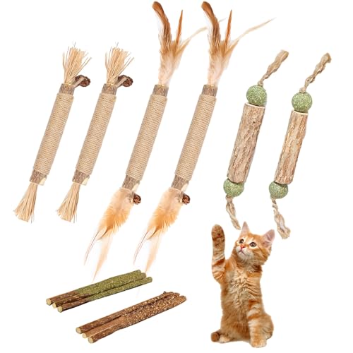 GIAPINST Katzenminze Sticks mit Federn, Natural Silvervine Katzenminze Sticks, Matatabi Katzen Kauhölzer, Katzenspielzeug Selbstbeschäftigung Set, Entfernen von Zahnstein, Erfrischendem Atem von GIAPINST