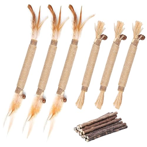 GIAPINST Katzenminze Sticks mit Federn, Natural Silvervine Katzenminze Sticks, 15 Matatabi Katzen Kauhölzer, Katzenspielzeug Selbstbeschäftigung Set, Entfernen von Zahnstein und erfrischendem Atem von GIAPINST