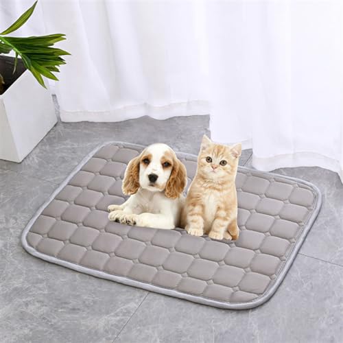 GIBZ Kühlmatte für Haustiere Haustier Selbstkühlendes Pad Matte Bettmatten Komfort für Katzen und Hunde für Zuhause Oder Auto,Hundehütte Outdoor, Grau, 100x69cm von GIBZ