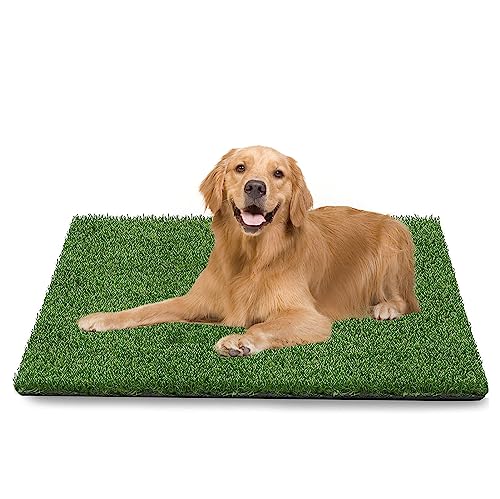 GIBZ Kunstrasen Hundeklo Gras Teppich für Hunde Waschbar Welpen Trainings Hundetoilette mit Drainageloch, L, 51.5×40cm von GIBZ