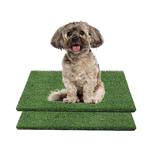 GIBZ Kunstrasen Hundeklo Gras Teppich für Hunde Waschbar Welpen Trainings Hundetoilette mit Drainageloch 2 Stücke, S, 30×30cm von GIBZ