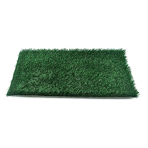 GIBZ Kunstrasen Hundeklo Teppich Waschbar Welpen Trainings Töpfchen Gras Hundetoilette für Indoor und Outdoor, 80×100cm von GIBZ