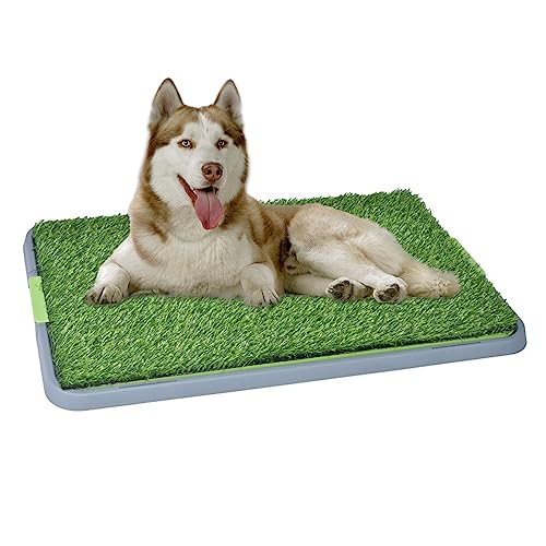 GIBZ Kunstrasen Hundeklo mit Tablett Großes Welpen Trainings PIPI Pods 3 Lagig Gras Hundetoilette für Indoor und Outdoor, 42.5×68×3.5cm von GIBZ