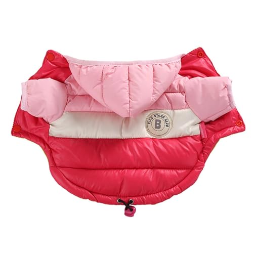 GIBZ Winter Hundemantel mit Kapuze HundeJacke Wasserdicht Winddicht Kaltwettermäntel für Kleine Hunde Haustier Warme Jacke Gepolsterte Kleidung Rosa von GIBZ