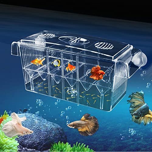 GIMOCOOL Fischzuchtkasten, Aquarium Ablaichkasten Fisch Isolation Box Aufzuchtbecken Klein Groß Multifonctionnel Boîte Nidification Poissons Auto-nageant Double Couche Pour la Pisciculture Incubateur von GIMOCOOL